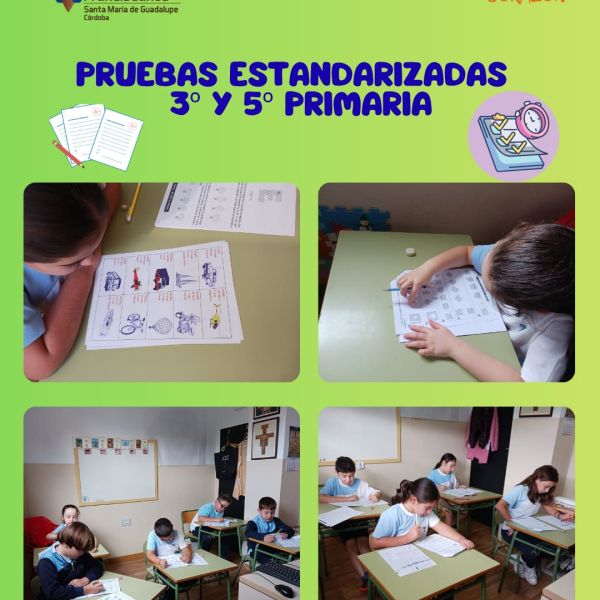 Pruebas Estandarizadas